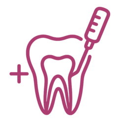 endodoncia icono